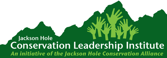 CLI_logo_800x280px_greenMtn_greenTag.jpg