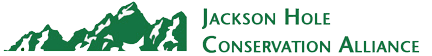 logo1.png