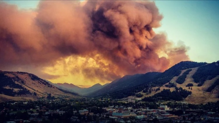 The Elephant in Jackson Hole’s Room