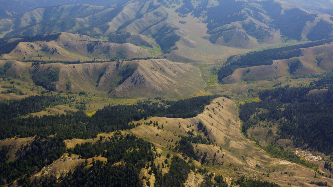 Calling all Wildlands Enthusiasts!