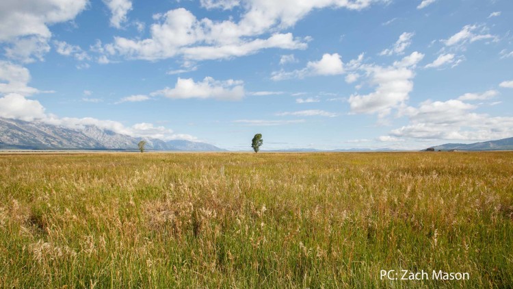 Alliance Releases Teton County Commercial and Residential Lands Inventory