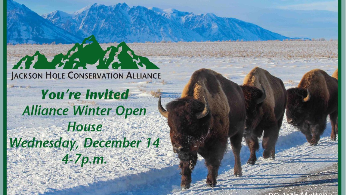 Alliance Winter Open House 2016