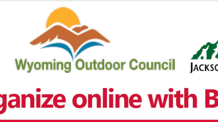 Learn to Organize Online!