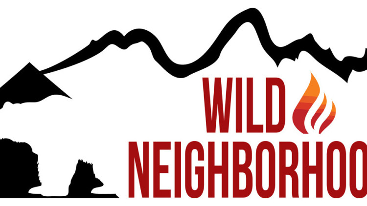 Alliance to Launch Wild Neighborhoods Survey to Learn More about Bear Conflicts in Teton County