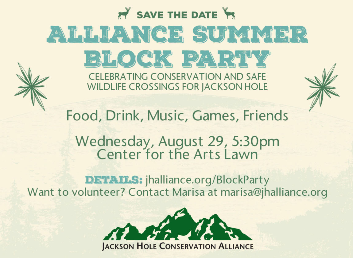 save-the-date-block-party.jpg