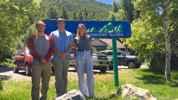 Welcoming our Summer 2018 Interns