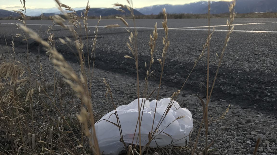 Plastic bag ban in the works