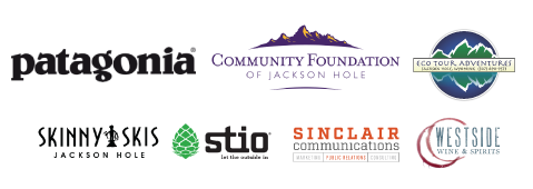 Website-Sponsor-logos-image.png