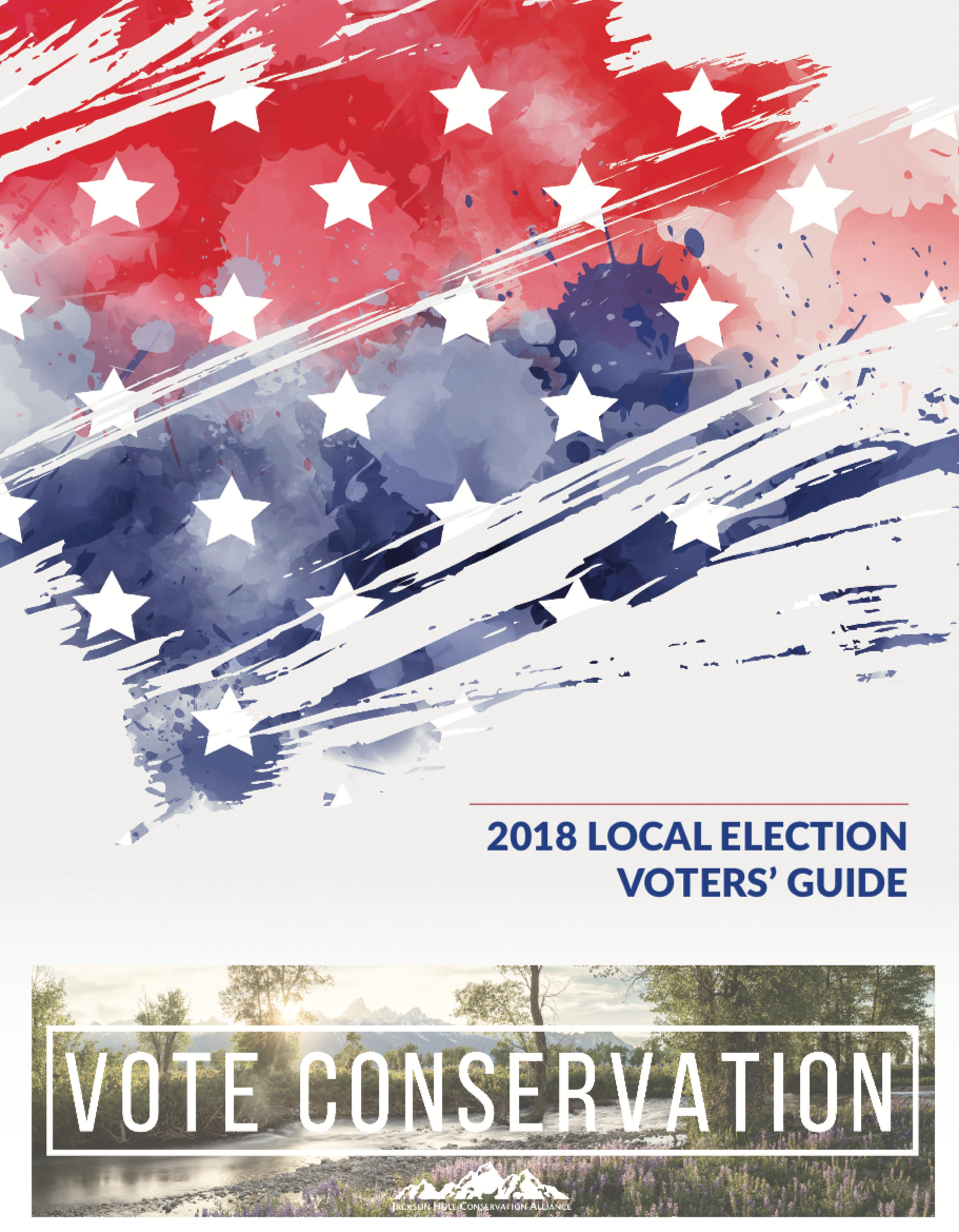 Voters-Guide-cover-pic.png