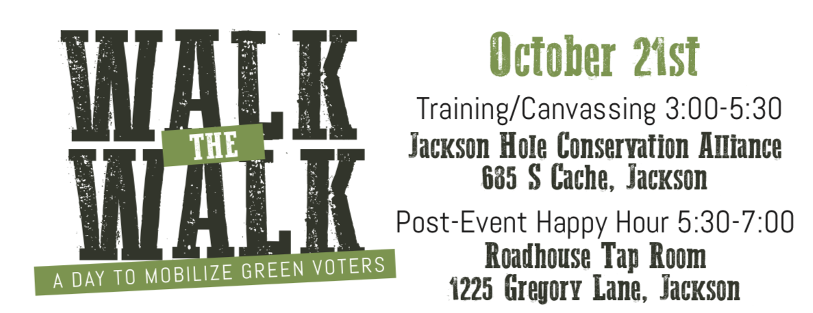 Walk the Walk: A day to mobilize green voters