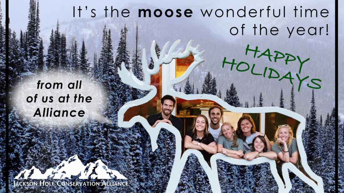 It’s the moose wonderful time of the year!
