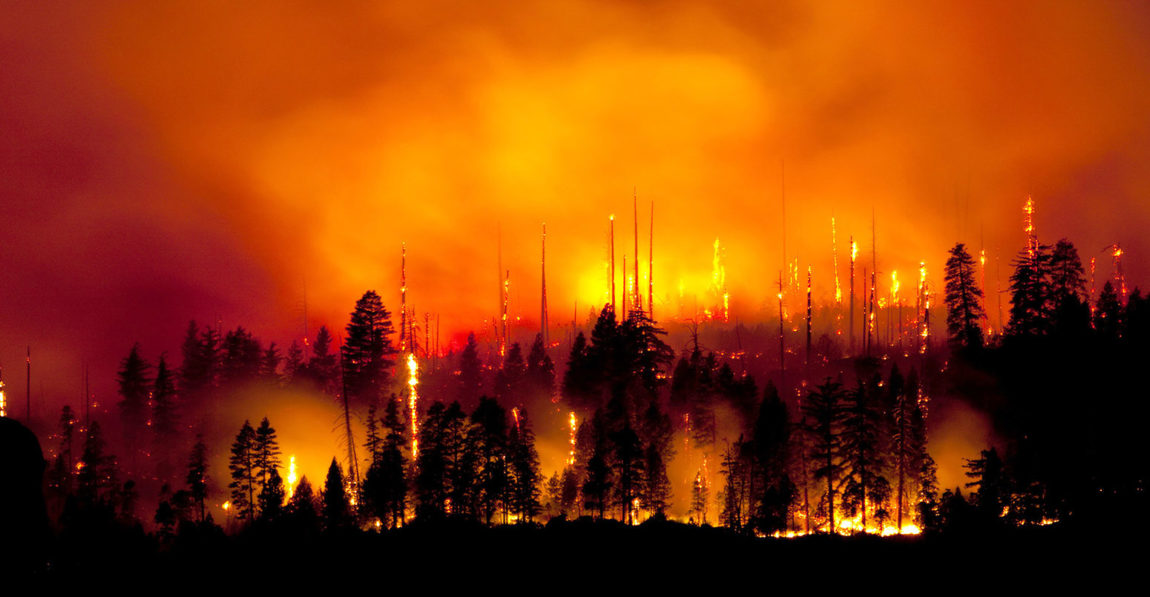 wildfire-in-the-west.jpg