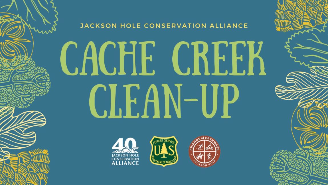 Cache-Creek-Cleanup-image.jpg