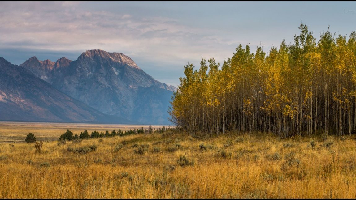 A grassroots organizing story for #GivingTuesdayNow