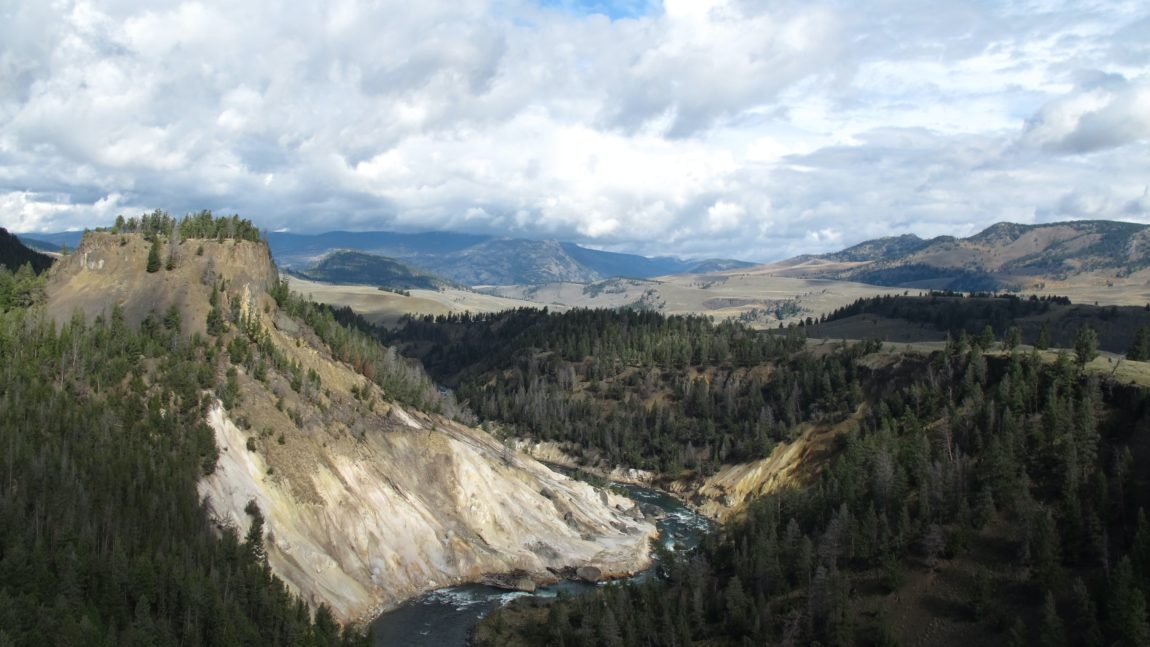 We need a 7th cent of sales tax, for COVID-19 recovery now and conservation later