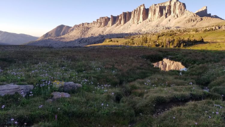 Keeping Jackson Hole whole and wild