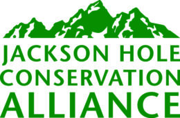 Alliance logo