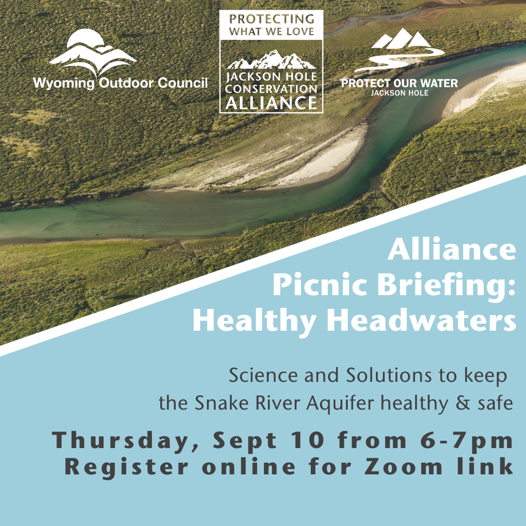 Invitation to Picnic Briefing: Heathly Headwaters