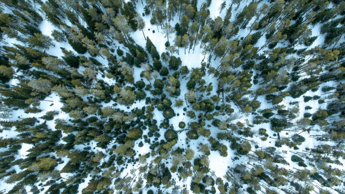 State trust lands could be developed