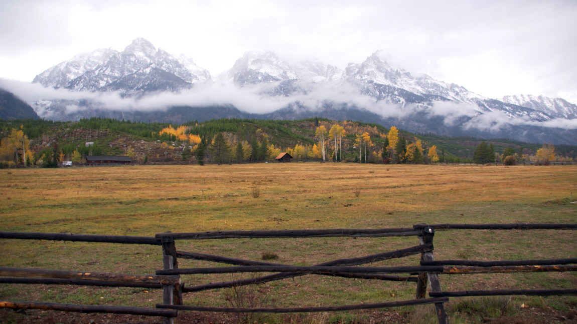 Teton-field.png