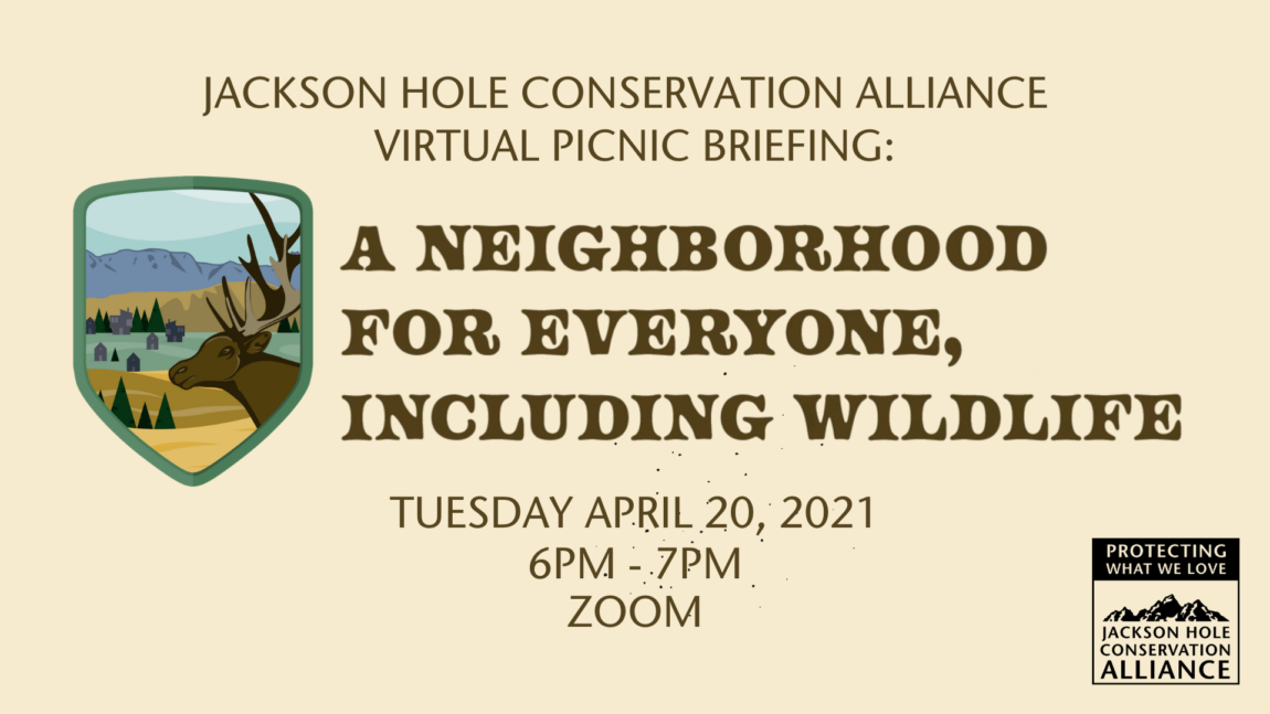 Jackson-Hole-Conservation-Alliance.png