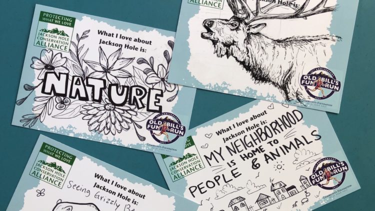 Raise awareness about conservation!