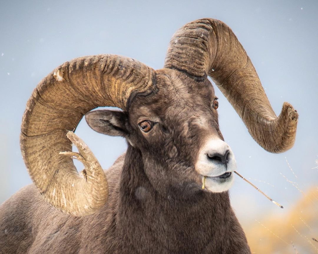 Pop quiz > That’s right!