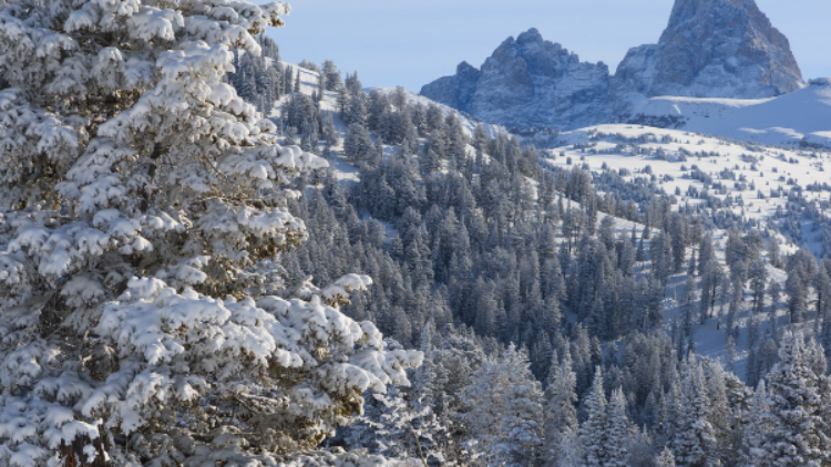Winter Closure Reminder