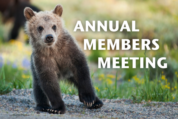 Annual Members Meeting big success!