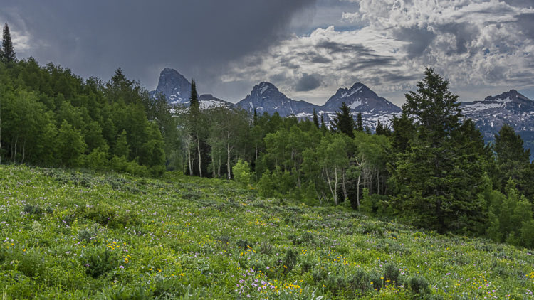 Alliance and Partners send out “A Community Assessment” regarding proposed Targhee expansion to Teton County, Idaho and Alta, WY residences