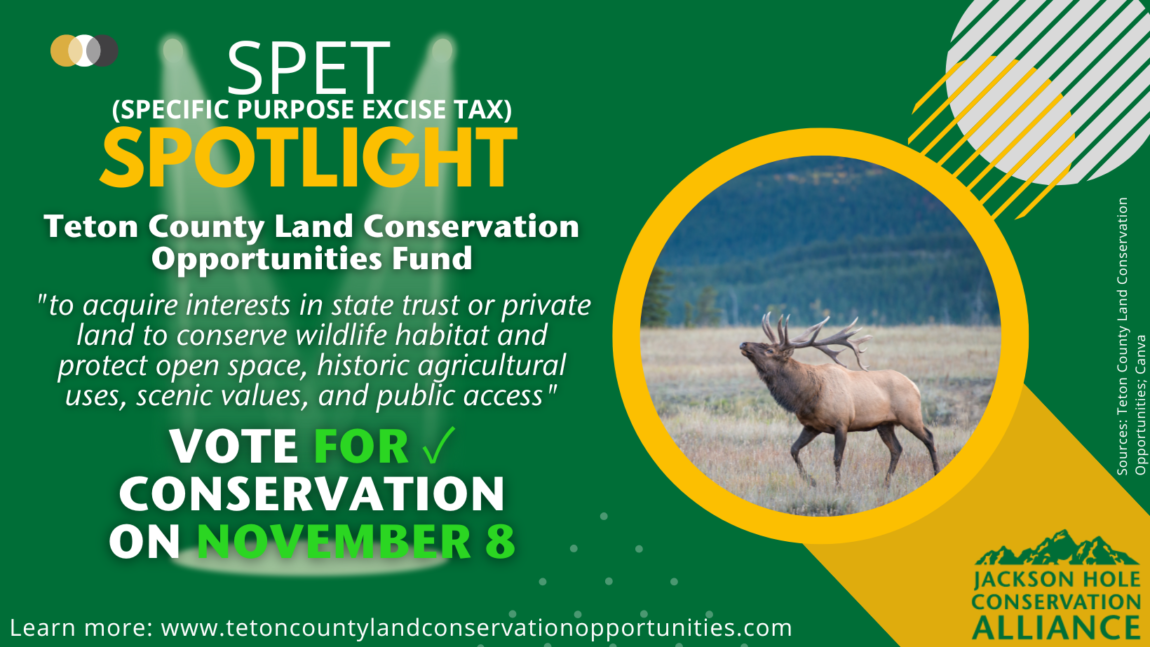 SPET Spotlight: Teton County Land Conservation Opportunities Fund
