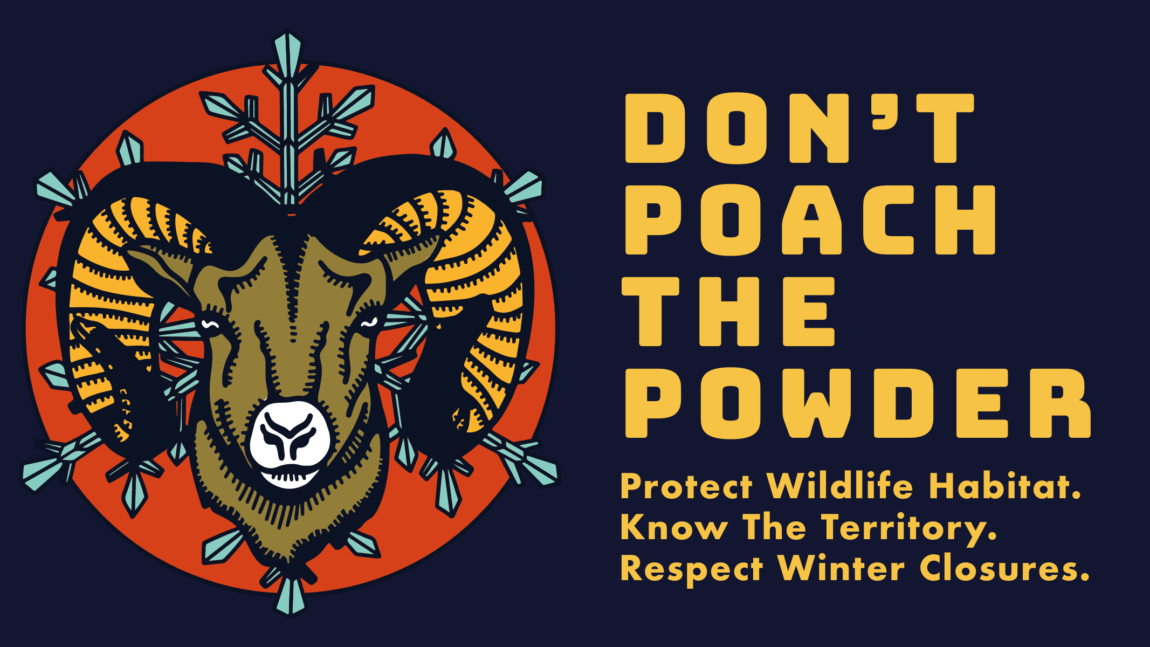 Don’t Poach the Powder