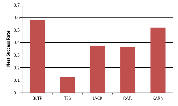 fig-3.png