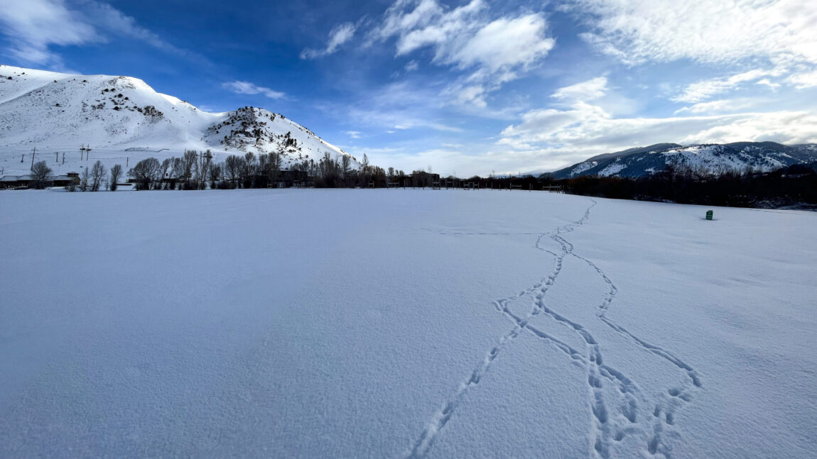 Conserving Karns Meadow