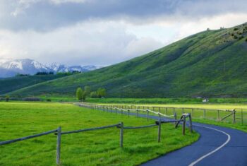 Transportation Update: Tribal Trail