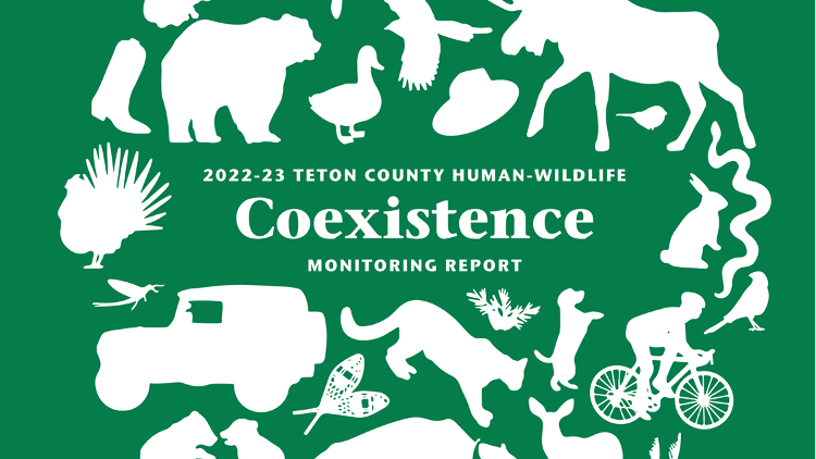 Are we ready to COEXIST?