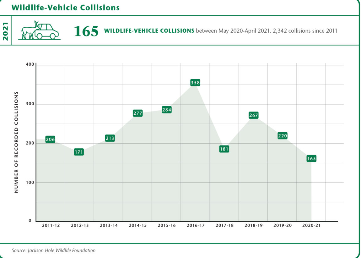 FORWEBwildlife_vehicle_collisions.jpg