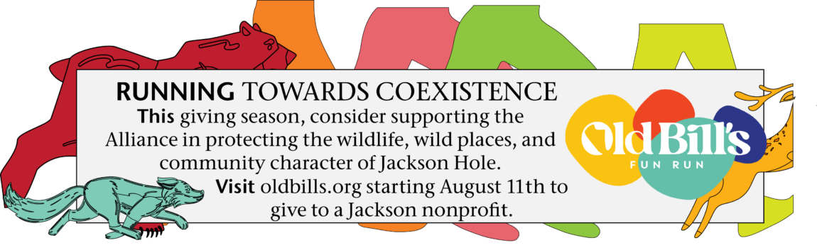 banner_website_OBFR_23-1.png