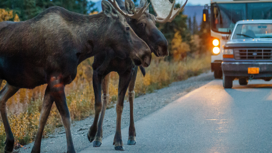 Conservation Alliance to Monitor Community Attitudes Towards Teton County Transportation With Affinity Groups