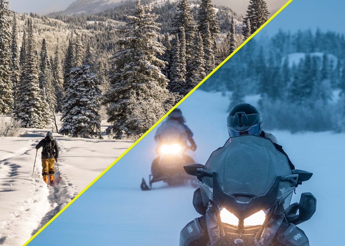 feedground_dieoff_ski_snowmobile.jpg