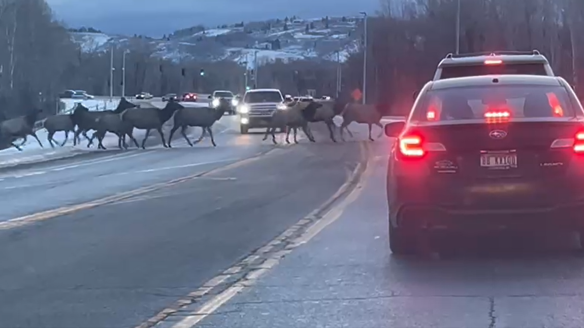 Will we be the next Vail?