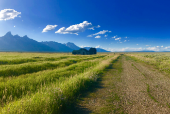 Unraveling Land Development Regulations