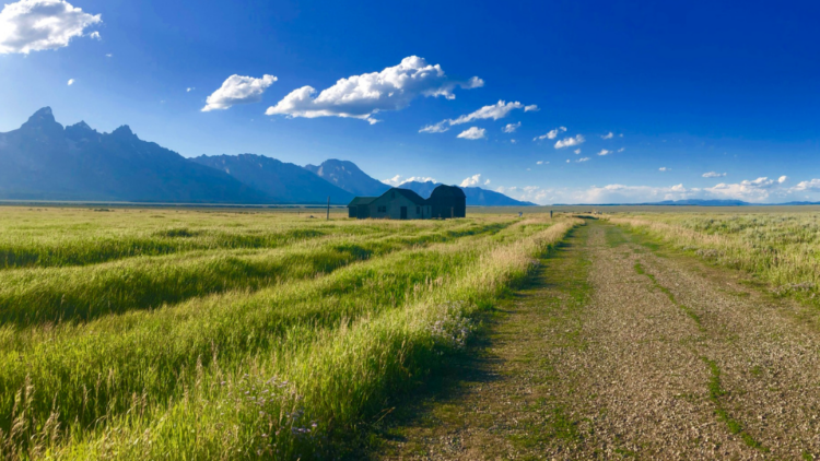 Unraveling Land Development Regulations