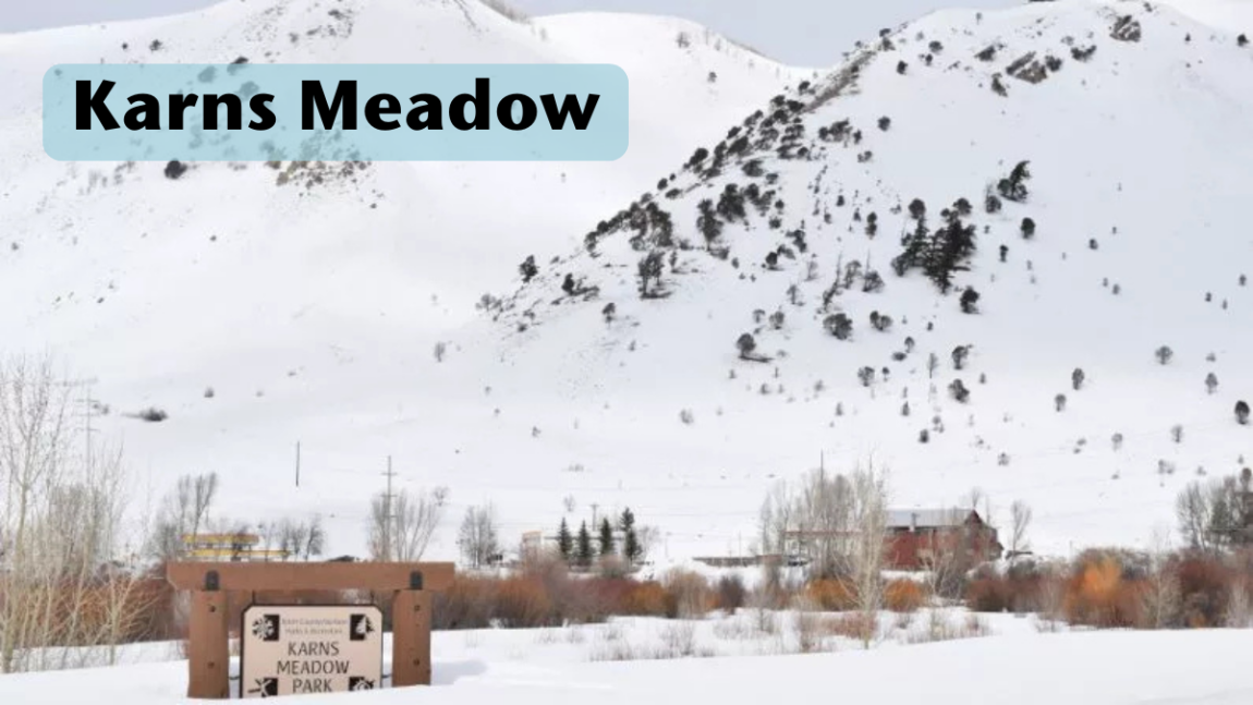 Open Letter, Karns Meadow Plan