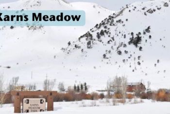 Open Letter, Karns Meadow Plan