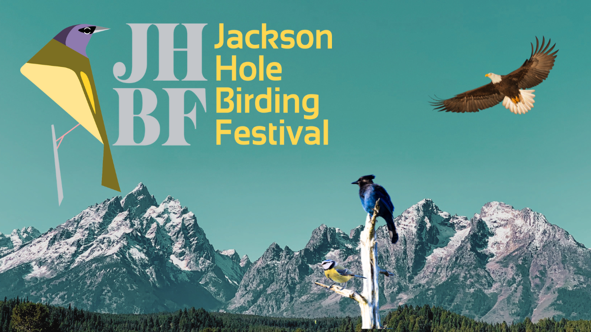 JH Birding Festival