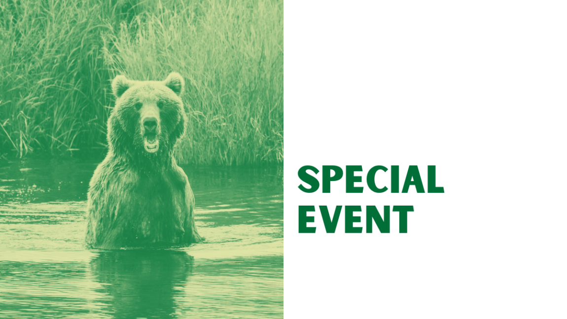 Special-Event-Bear.png