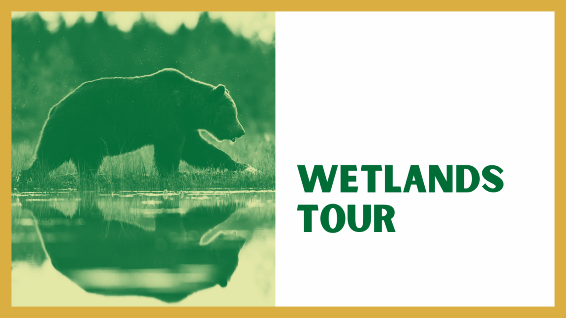 Wetlands-Tour-Event-Tile.png