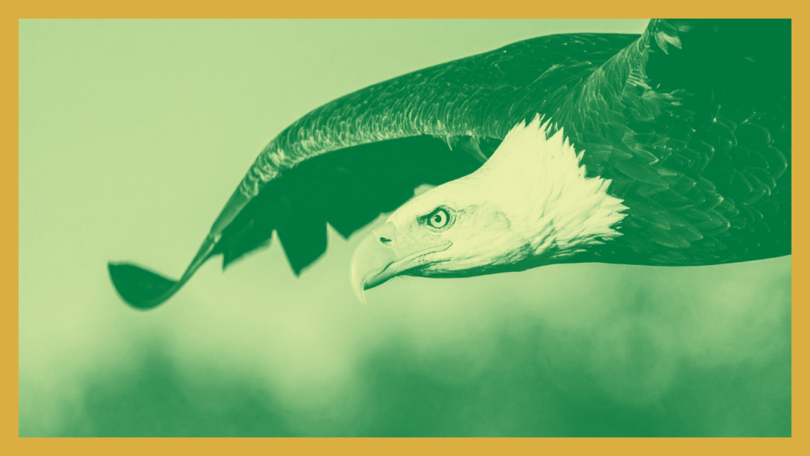 Public Lands: In your hands