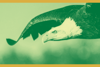 Public Lands: In your hands